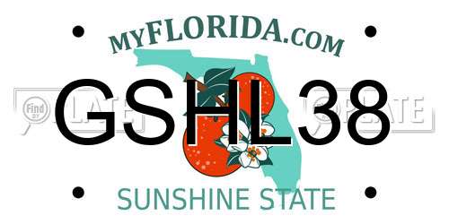 GSHL38 Florida License Plate