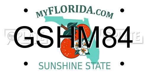 GSHM84 Florida License Plate