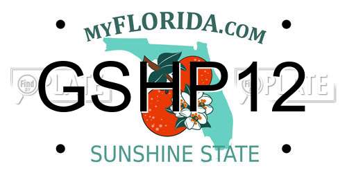 GSHP12 Florida License Plate