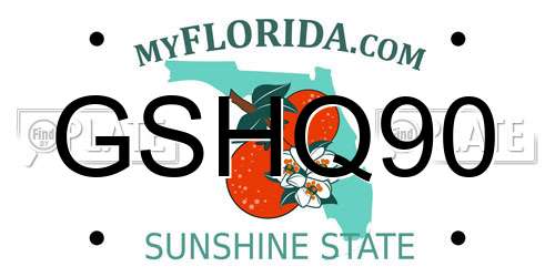 GSHQ90 Florida License Plate