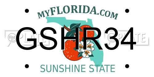 GSHR34 Florida License Plate
