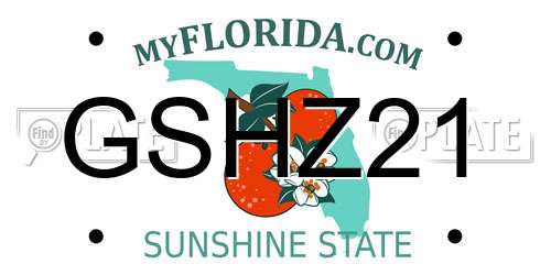GSHZ21 Florida License Plate