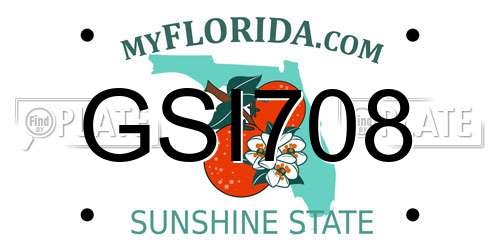 GSI708 Florida License Plate