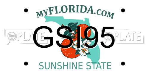 GSI95 Florida License Plate