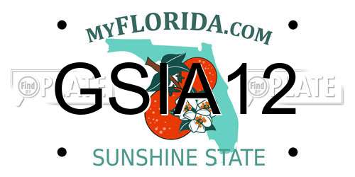 GSIA12 Florida License Plate
