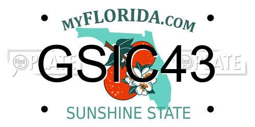 GSIC43 Florida License Plate
