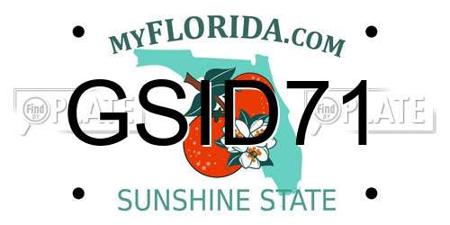 GSID71 Florida License Plate