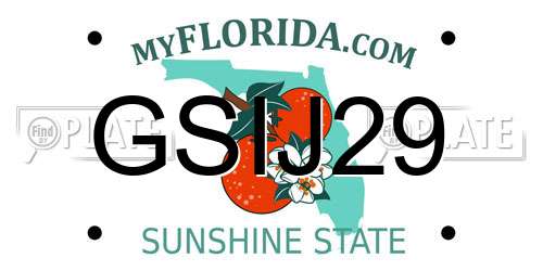 GSIJ29 Florida License Plate