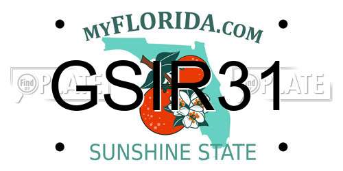 GSIR31 Florida License Plate