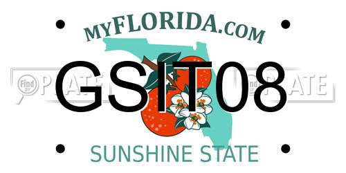 GSIT08 Florida License Plate