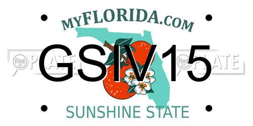 GSIV15 Florida License Plate