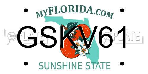GSKV61 Florida License Plate