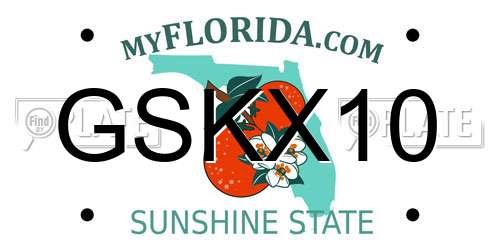 GSKX10 Florida License Plate