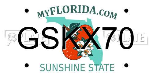 GSKX70 Florida License Plate