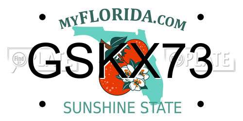GSKX73 Florida License Plate