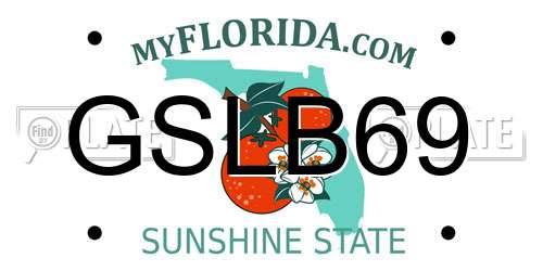 GSLB69 Florida License Plate