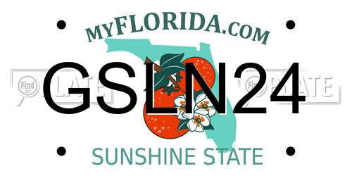 GSLN24 Florida License Plate