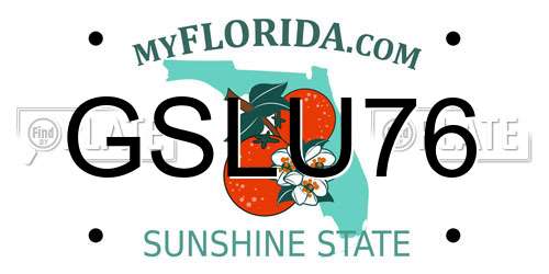 GSLU76 Florida License Plate