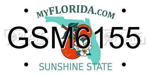 GSM6155 Florida License Plate