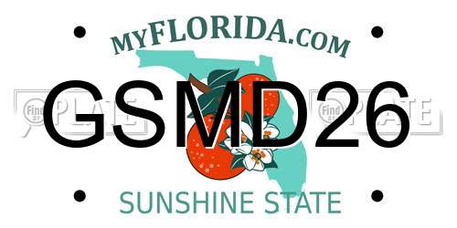 GSMD26 Florida License Plate