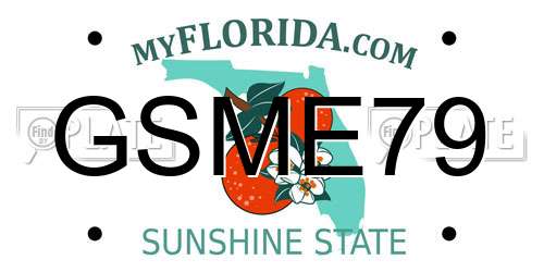 GSME79 Florida License Plate