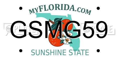 GSMG59 Florida License Plate