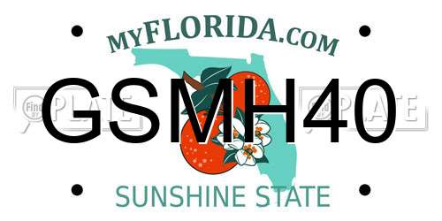 GSMH40 Florida License Plate