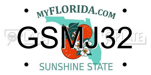 GSMJ32 Florida License Plate
