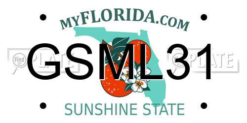 GSML31 Florida License Plate