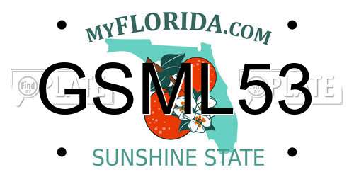 GSML53 Florida License Plate