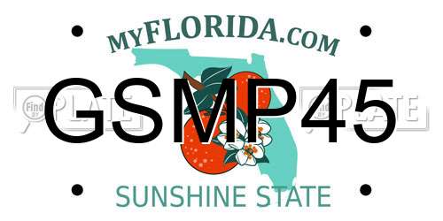 GSMP45 Florida License Plate