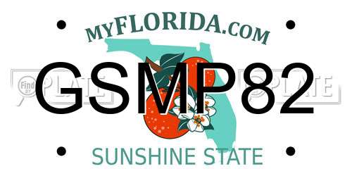 GSMP82 Florida License Plate