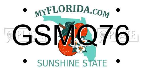 GSMQ76 Florida License Plate