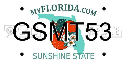 GSMT53 Florida License Plate