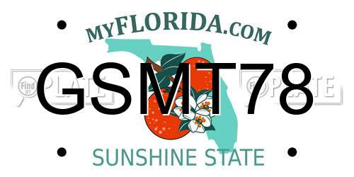 GSMT78 Florida License Plate