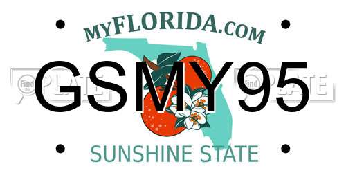 GSMY95 Florida License Plate