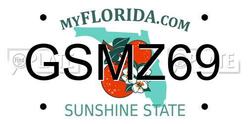 GSMZ69 Florida License Plate