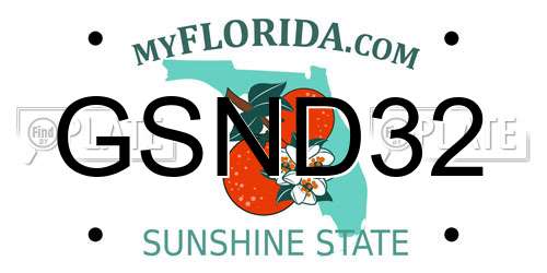 GSND32 Florida License Plate