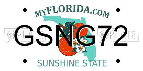 GSNG72 Florida License Plate