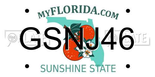 GSNJ46 Florida License Plate