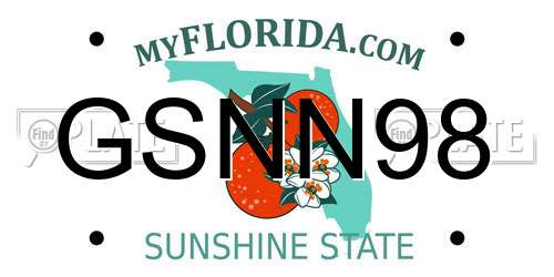 GSNN98 Florida License Plate