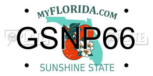 GSNP66 Florida License Plate
