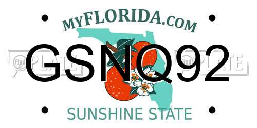 GSNQ92 Florida License Plate