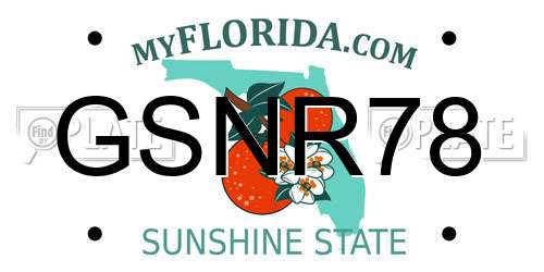 GSNR78 Florida License Plate