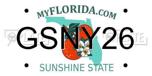 GSNY26 Florida License Plate