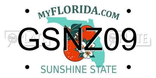 GSNZ09 Florida License Plate