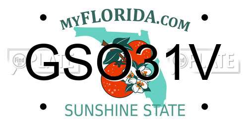 GSO31V Florida License Plate
