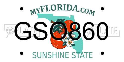GSO860 Florida License Plate