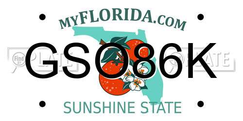 GSO86K Florida License Plate