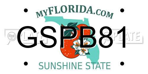 GSPB81 Florida License Plate